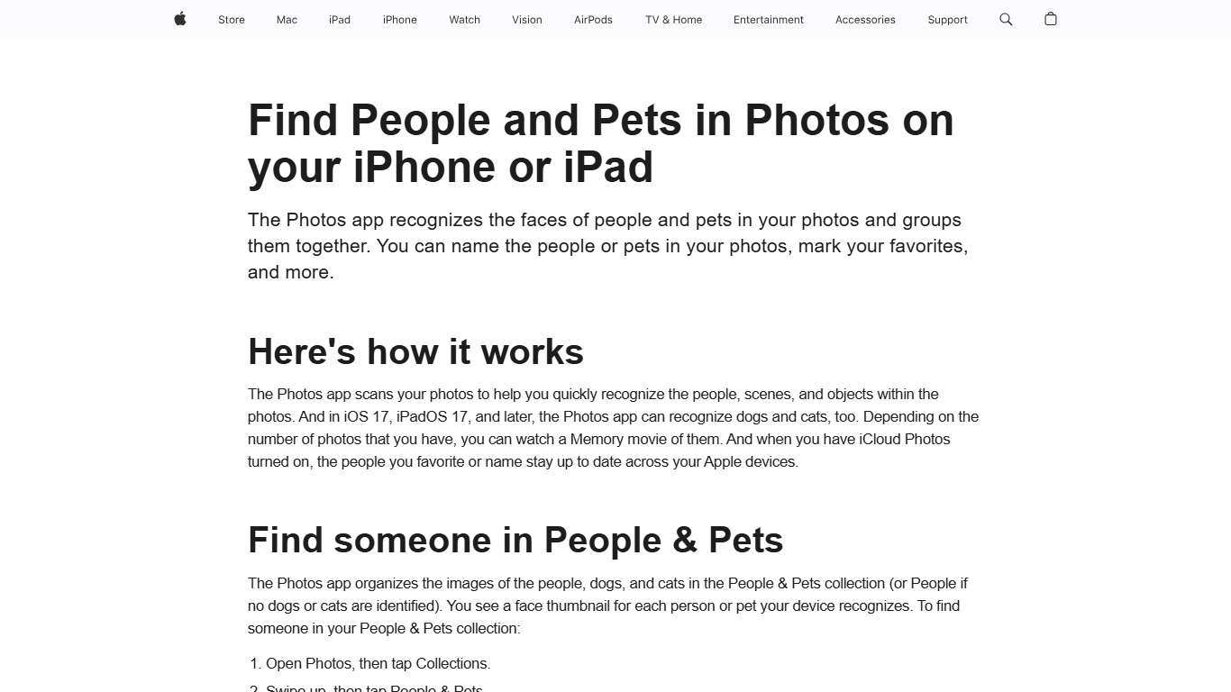 Find People and Pets in Photos on your iPhone or iPad - Apple Support